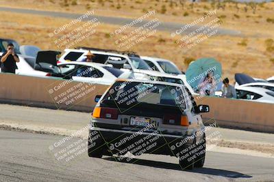media/Feb-22-2025-Team Topak Racing (Sat) [[cb57a51a40]]/86 Party Brigade/Turns 13 and 14/